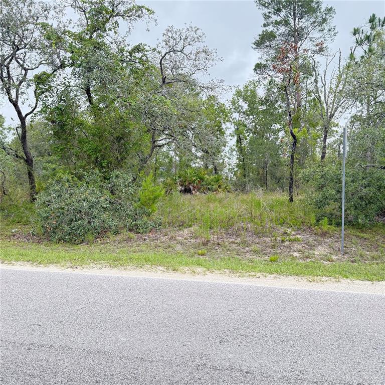 A vacant, wooded lot sits alongside a paved road under an overcast sky — 11200 MARVELWOOD ROAD, WEEKI WACHEE, FL