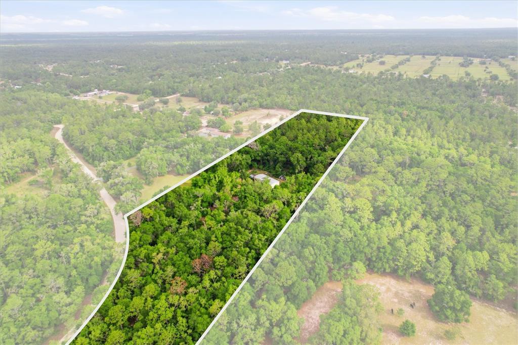 An aerial view shows a wooded lot with a small structure outlined in white — 3883 SW 165TH AVENUE ROAD, OCALA, FL