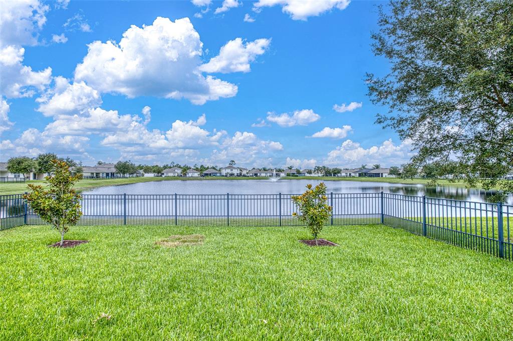 A grassy backyard with two small trees and a metal fence overlooking a pond — 548 ARMOYAN WAY, NEW SMYRNA BEACH, FL