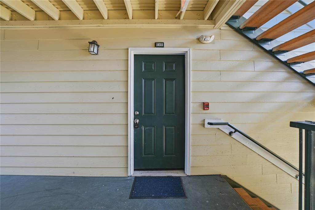 A green front door with the number 18311 sits on a beige exterior wall — 18311 BRIDLE CLUB DRIVE, TAMPA, FL