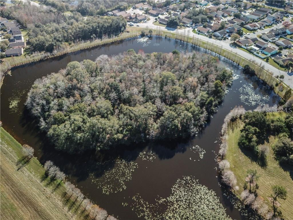 An aerial view shows a wooded island surrounded by a pond near a residential neighborhood — 1003 WINTERBERRY LANE, ORLANDO, FL