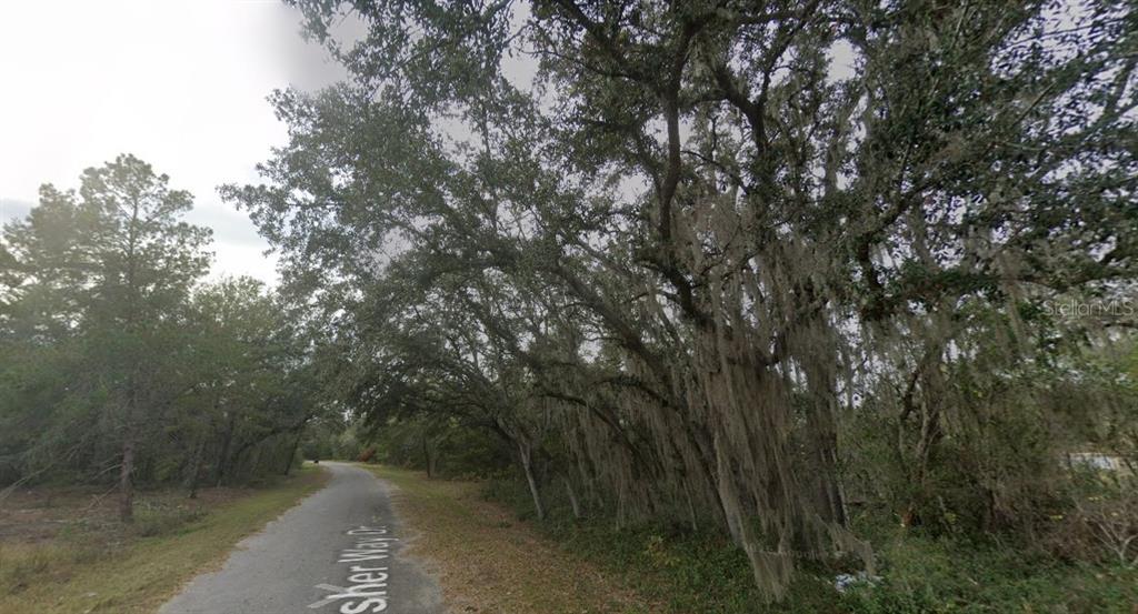 A paved road winds through a wooded area with large trees draped in Spanish moss — FISHER WAY DR LOT 16, OCKLAWAHA, FL