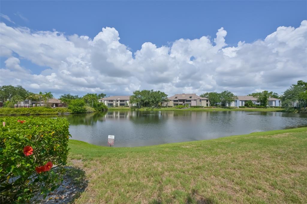 A view of a pond with apartment buildings in the background under a cloudy sky — 10265 GANDY BOULEVARD N UNIT 1006, ST PETERSBURG, FL