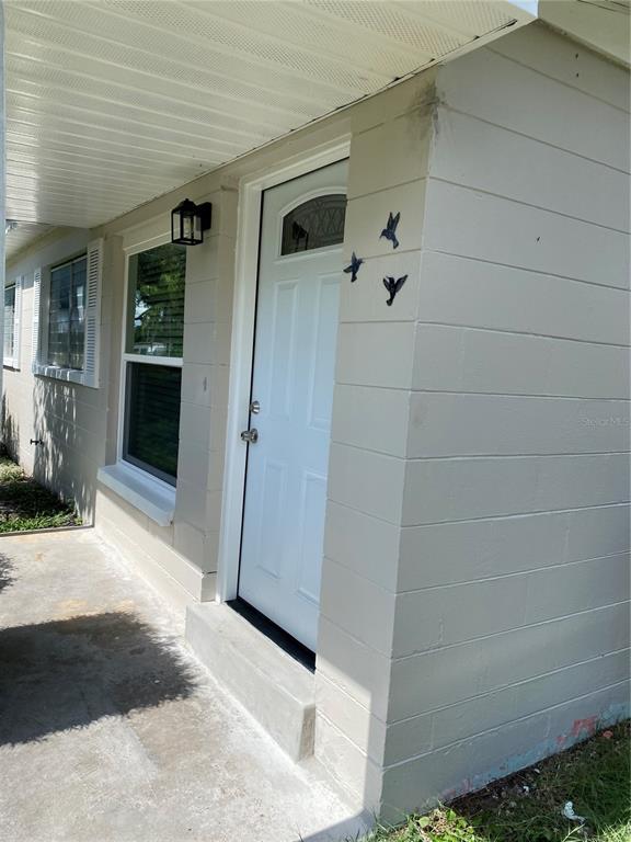 A concrete block exterior wall features a white front door with three decorative bird ornaments — 10005 N 29TH STREET, TAMPA, FL