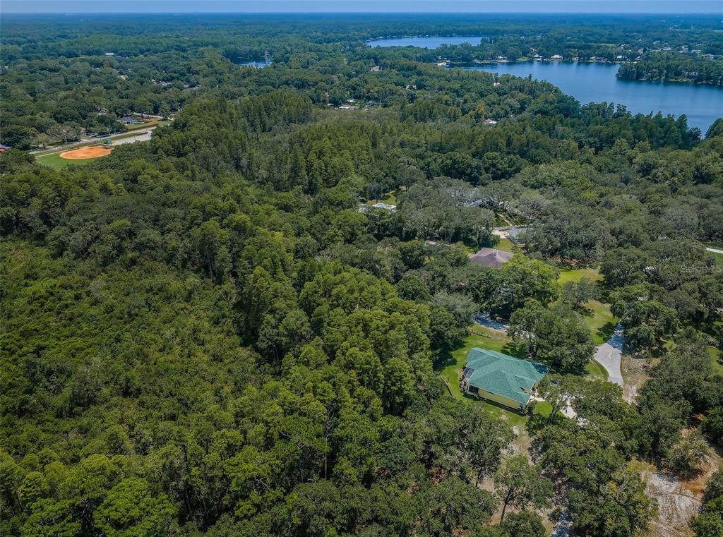 An aerial view shows a house with a green roof surrounded by dense forest — COQUI COURT, ODESSA, FL