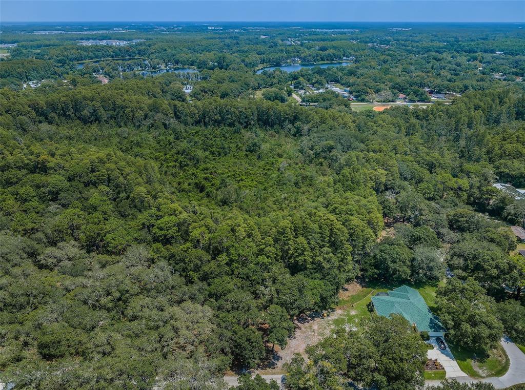 An aerial view shows a house with a green roof surrounded by dense forest — COQUI COURT, ODESSA, FL