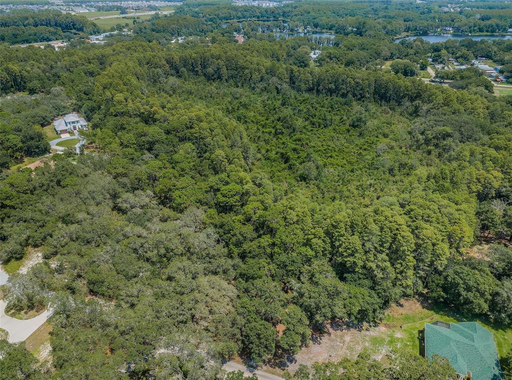An aerial view shows a large, densely wooded lot situated between two residential properties — COQUI COURT, ODESSA, FL
