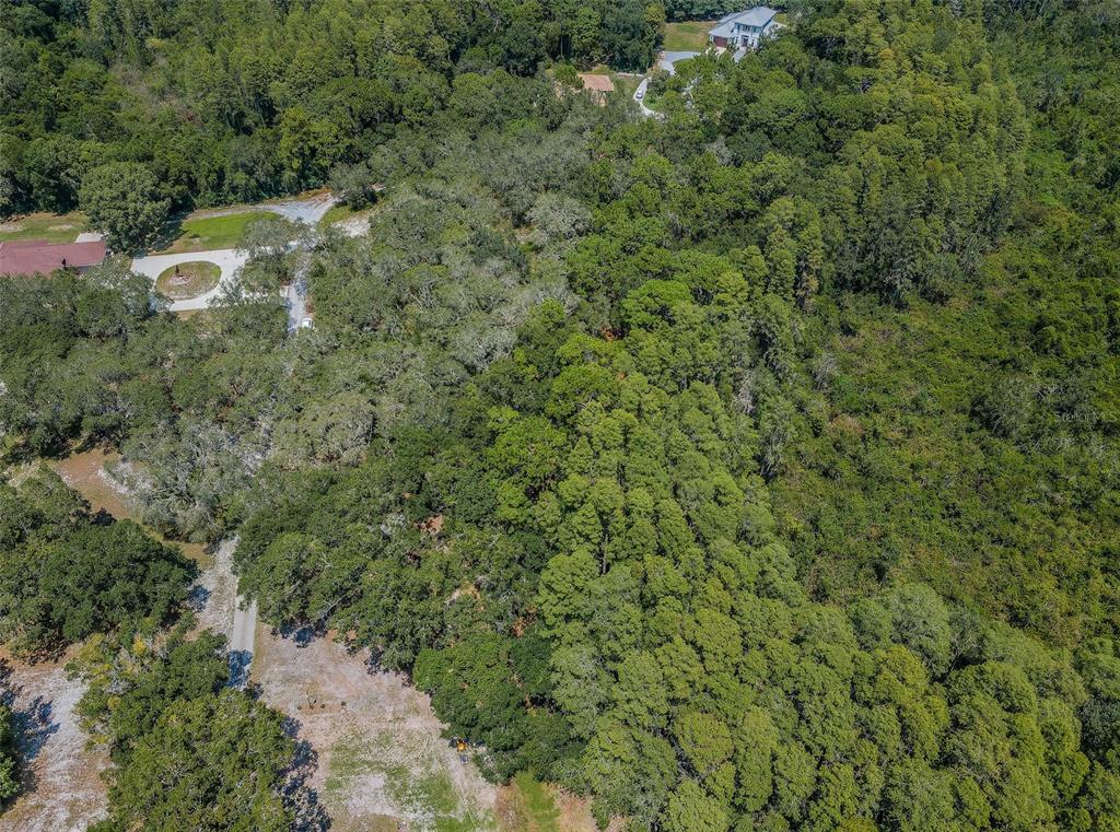 An aerial view shows a wooded lot with a driveway and nearby residential houses — COQUI COURT, ODESSA, FL