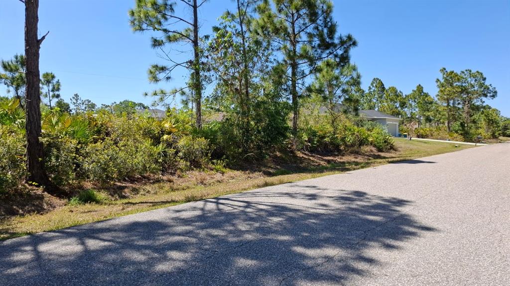 A paved road runs alongside a vacant, wooded lot with pine trees and native vegetation — 5541 GULFPORT TERRACE, PORT CHARLOTTE, FL