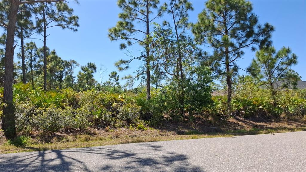 A view of a vacant, wooded lot with pine trees and low-lying brush — 5541 GULFPORT TERRACE, PORT CHARLOTTE, FL
