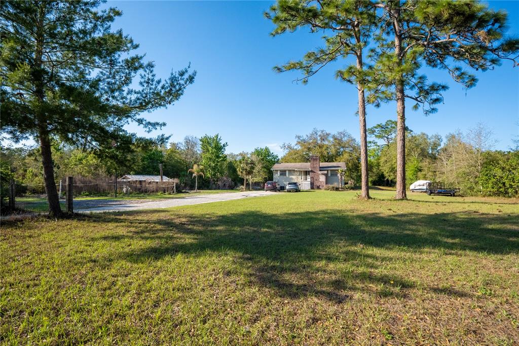 A single-story house sits on a large grassy lot with tall pine trees — 2468 FAWN RUN, OVIEDO, FL