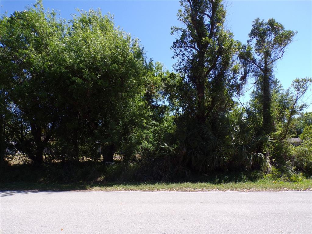 A view of a wooded, undeveloped residential lot from the edge of a paved road — 4704 FAIRWAY DRIVE N, PUNTA GORDA, FL