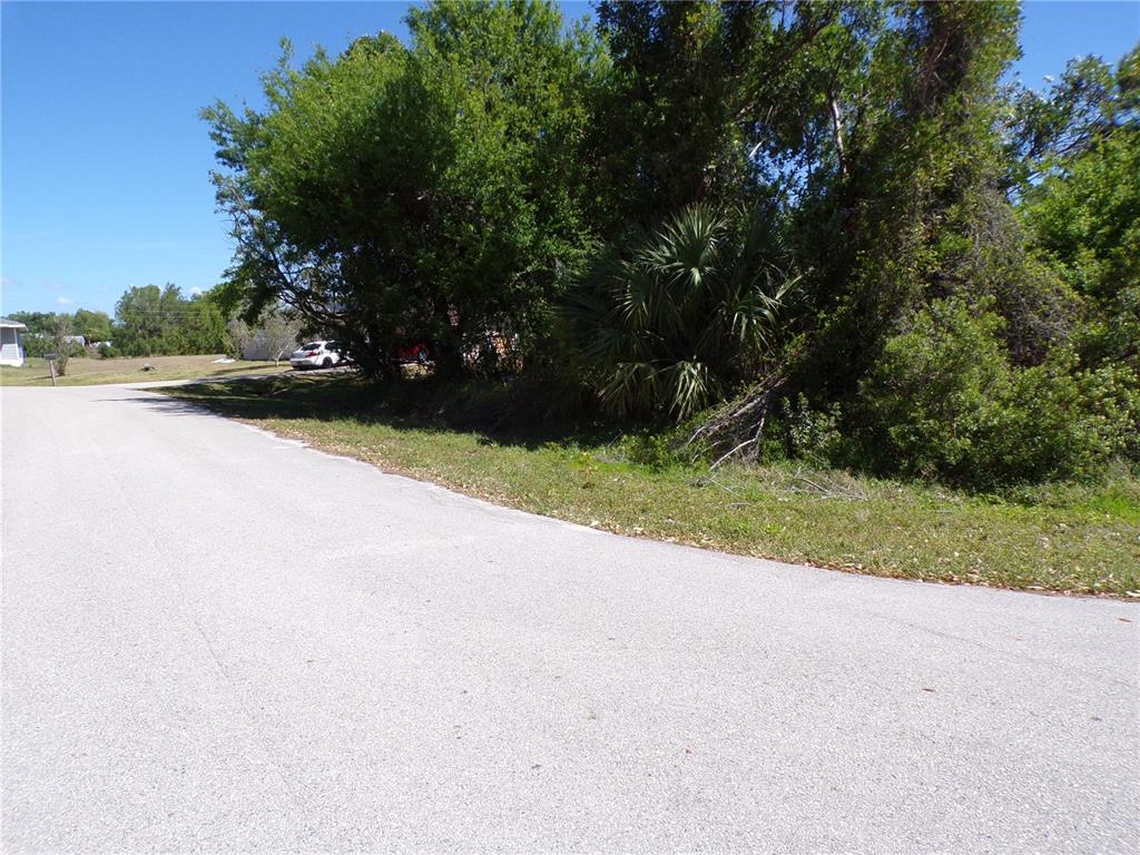 A paved road curves past a grassy lot with dense trees and a palm plant — 4704 FAIRWAY DRIVE N, PUNTA GORDA, FL