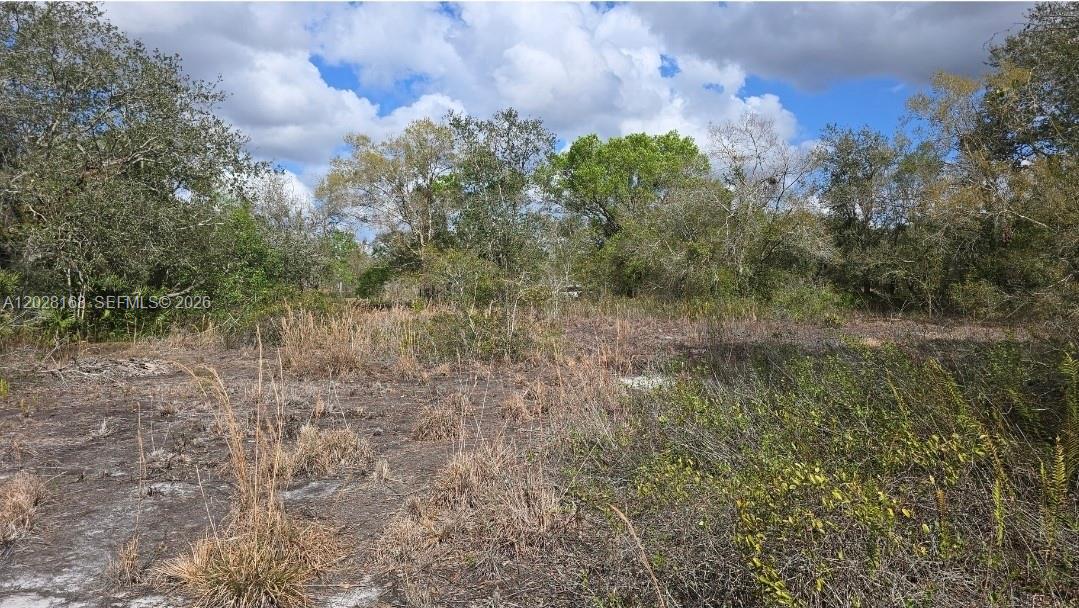 A flat, undeveloped plot of land covered in dry grass and surrounded by mature trees — 17718 NW 282nd St, Okeechobee FL 34972, OKEECHOBEE, FL