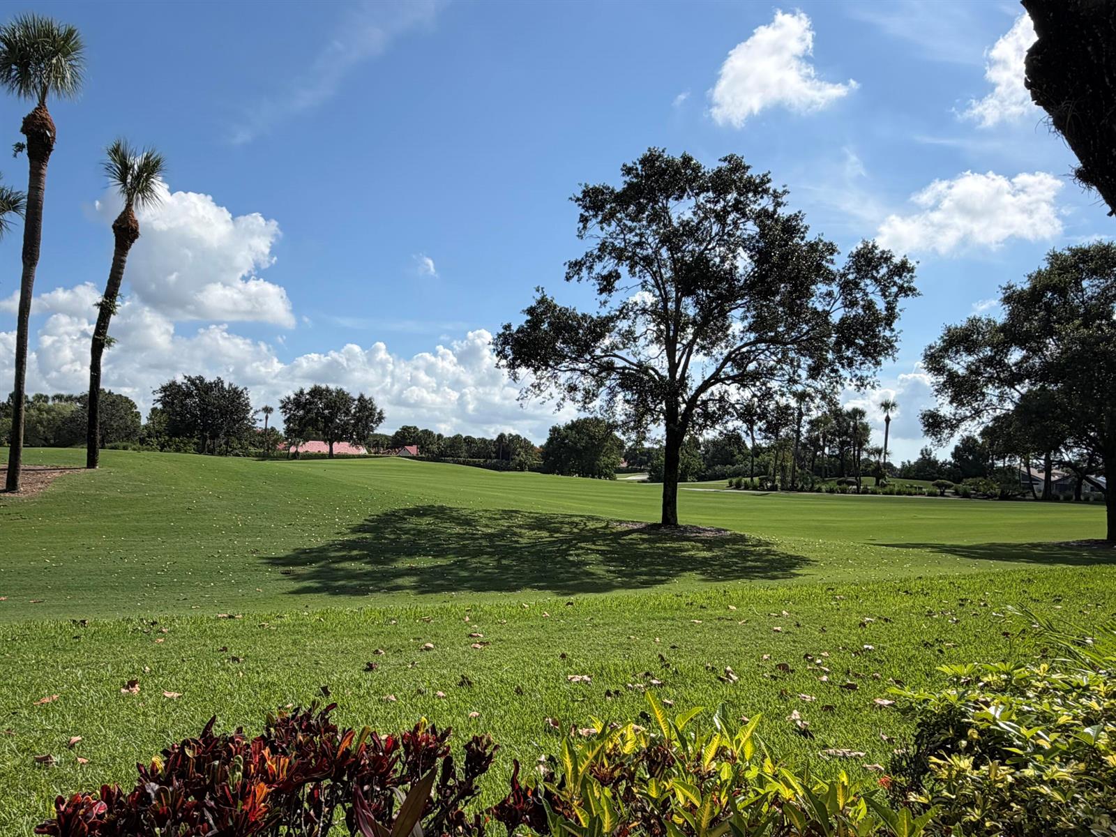 A large tree stands in the middle of a manicured green golf course under blue skies — 15758 Loch Maree Lane # 4005, Delray Beach FL 33446, DELRAY BEACH, FL