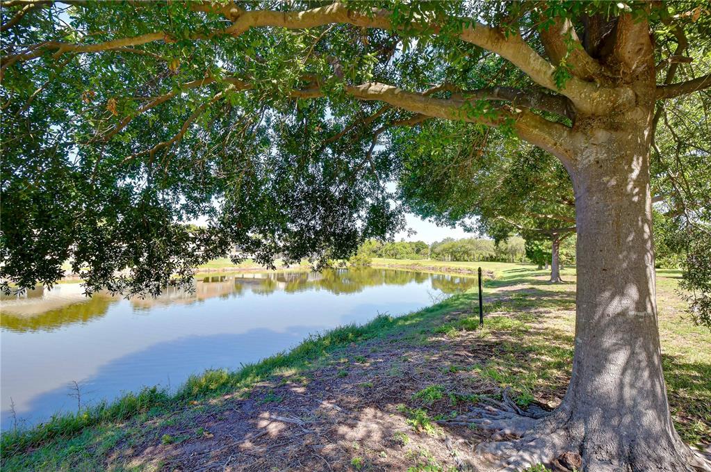 A large tree shades a grassy bank overlooking a small pond on a sunny day — 6919 TOWERING SPRUCE DR, RIVERVIEW, FL