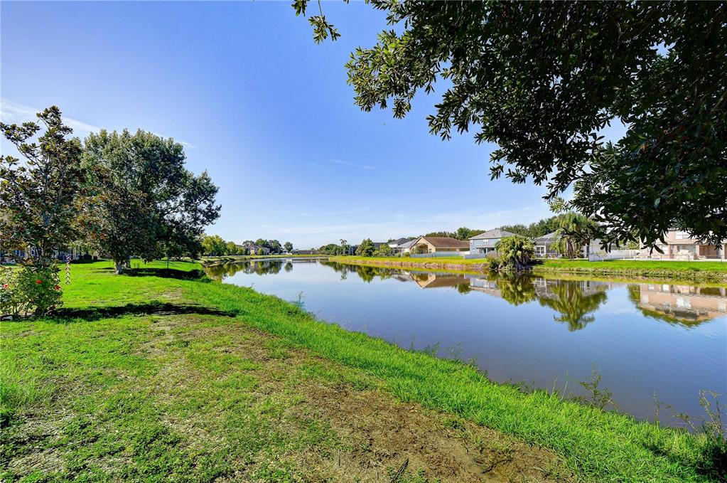 A grassy lawn overlooks a calm pond with residential houses in the background — 6919 TOWERING SPRUCE DR, RIVERVIEW, FL