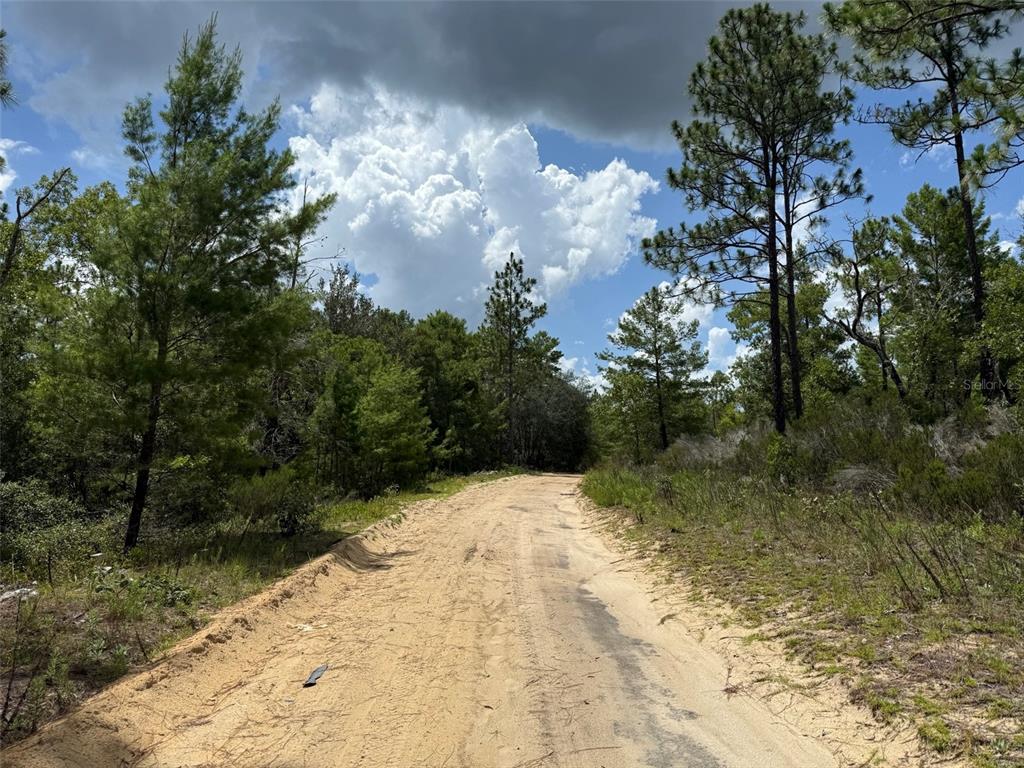 A dirt road winds through a wooded area under a cloudy blue sky — 187 PARIS STREET, INTERLACHEN, FL