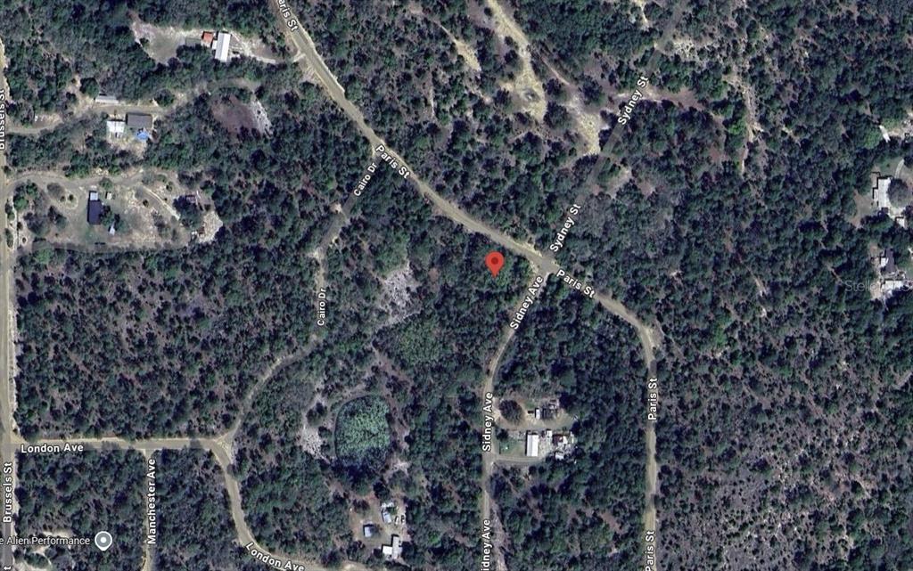 This is a satellite map view of a wooded area with several intersecting residential streets — 187 PARIS STREET, INTERLACHEN, FL