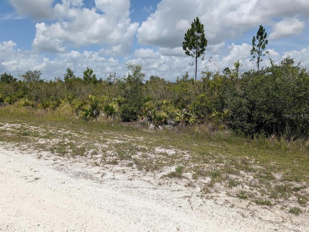 A dirt road runs alongside a dense, wooded lot with tall pine trees and palmettos — ST PETERSBURG DRIVE, INDIAN LAKE ESTATES, FL