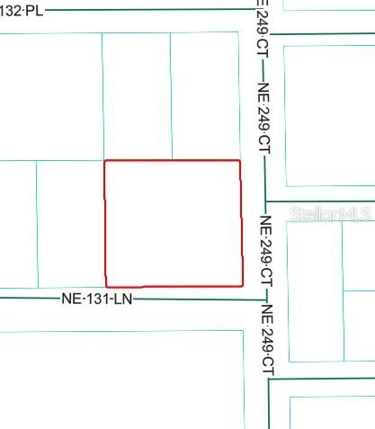 This is a map showing a rectangular parcel of land outlined in red — NE 249TH COURT, SALT SPRINGS, FL