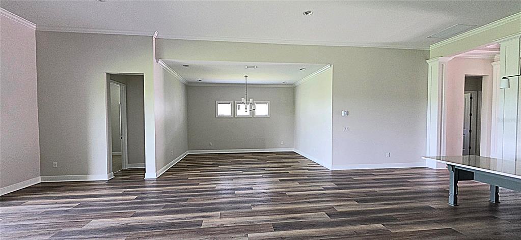 An open-concept living area features light gray walls, white trim, and wood-look plank flooring — 35436 BIG HAWK DRIVE, ZEPHYRHILLS, FL