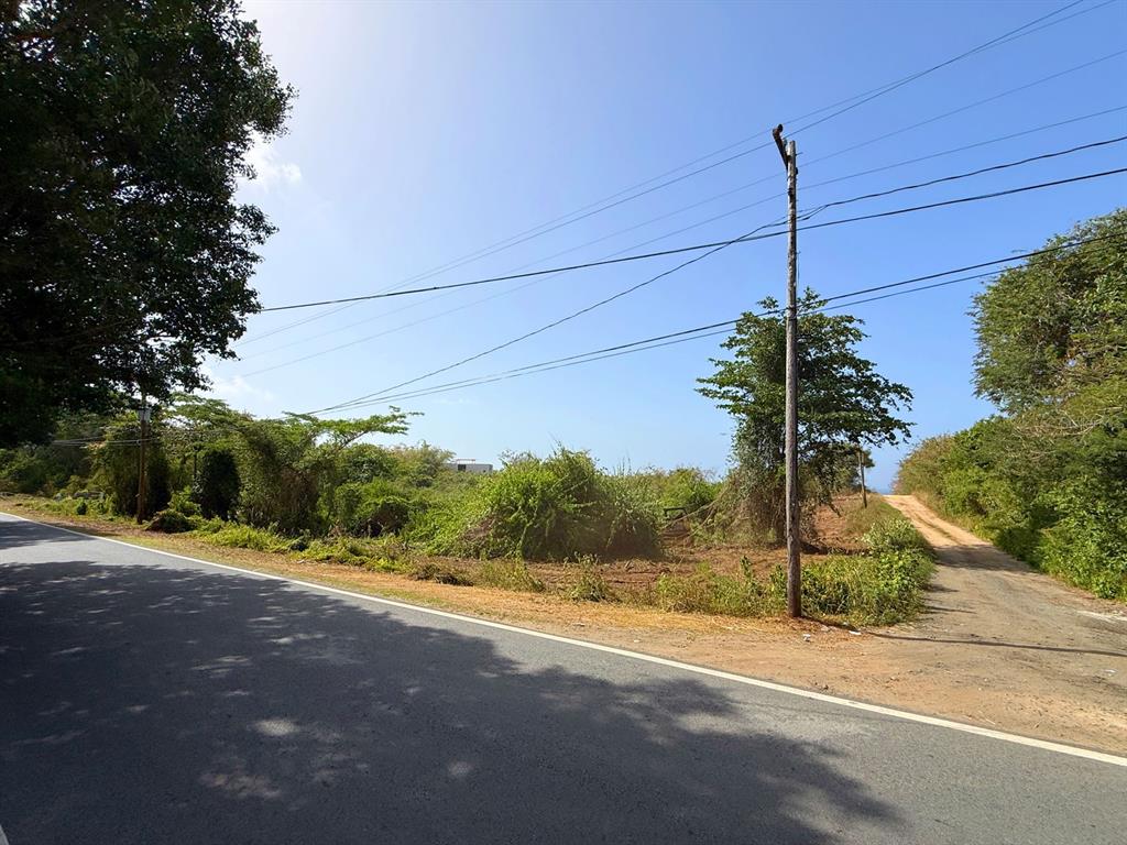 A paved road meets a dirt path beside a vacant, brush-covered lot with utility poles — 22 CALLE DE BATU, VIEQUES, PR