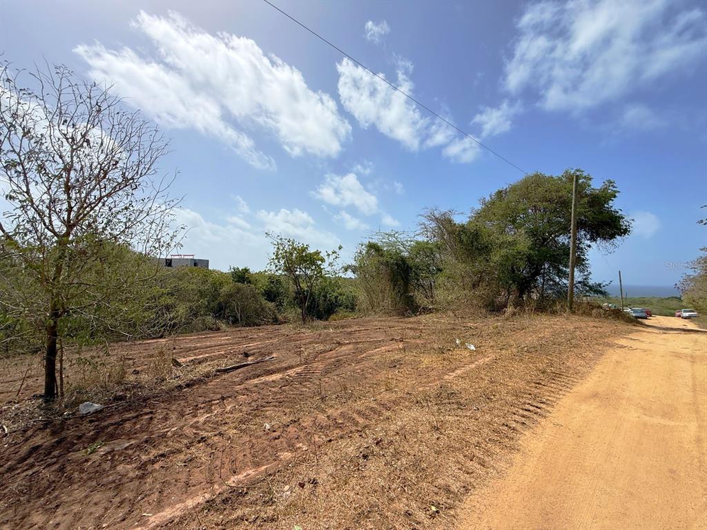 A dirt road runs alongside a cleared, undeveloped plot of land with trees and brush — 22 CALLE DE BATU, VIEQUES, PR