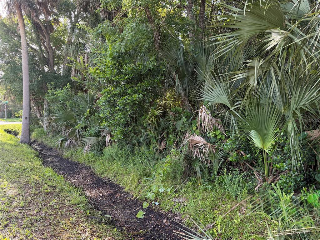 A narrow, dirt drainage ditch runs alongside a dense thicket of trees and palm fronds — 1400 ENTERPRISE AVENUE, NEW SMYRNA BEACH, FL