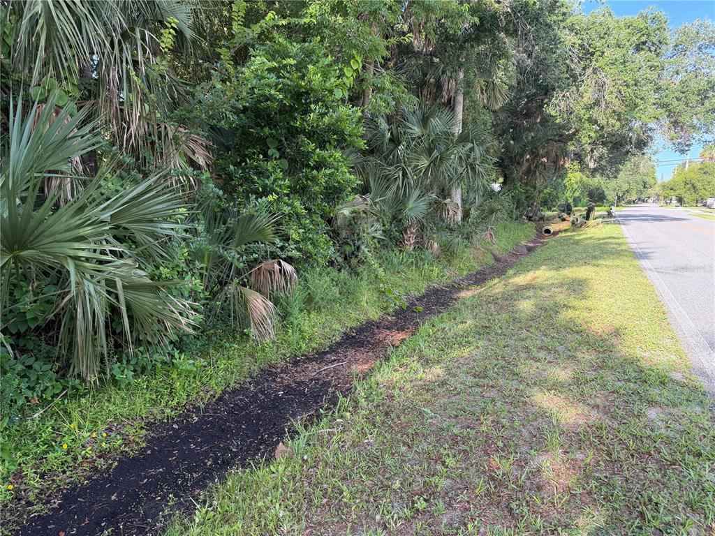 A roadside drainage ditch runs alongside a dense line of trees and palm foliage — 1400 ENTERPRISE AVENUE, NEW SMYRNA BEACH, FL