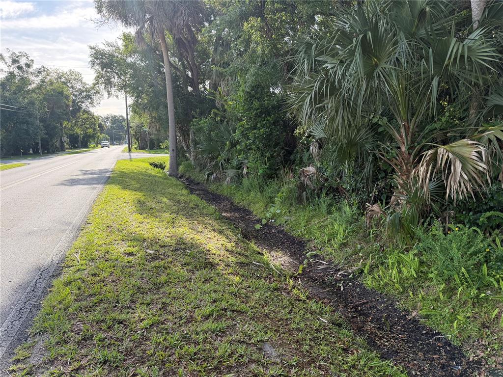A paved road runs alongside a grassy shoulder and a dense line of trees — 1400 ENTERPRISE AVENUE, NEW SMYRNA BEACH, FL