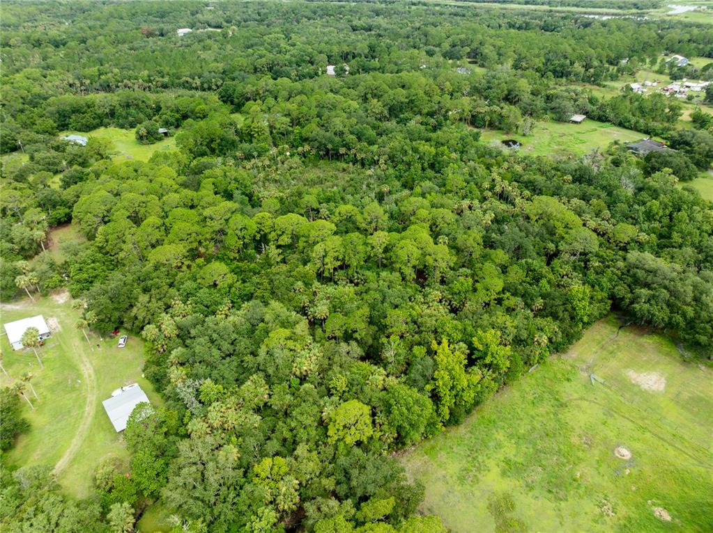 An aerial view shows a dense, wooded lot bordered by grassy fields and nearby houses — 2750 PERCH ROAD, GENEVA, FL