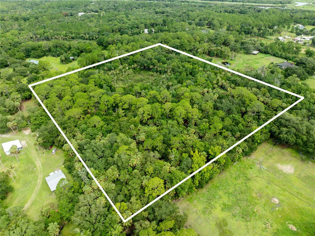 An aerial view shows a large, wooded rectangular lot outlined in white — 2750 PERCH ROAD, GENEVA, FL