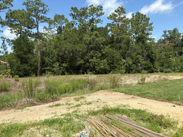 A view of a vacant, grassy lot bordered by a dense line of trees — 7722 SW 180TH CIRCLE, DUNNELLON, FL