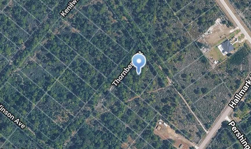 This is an aerial map view showing a wooded lot with street labels — 648 PERSHING AVENUE, LAKE PLACID, FL