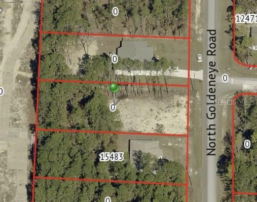 This is an aerial map view showing several rectangular residential lots along a road — 15493 PENN STATE ROAD, WEEKI WACHEE, FL