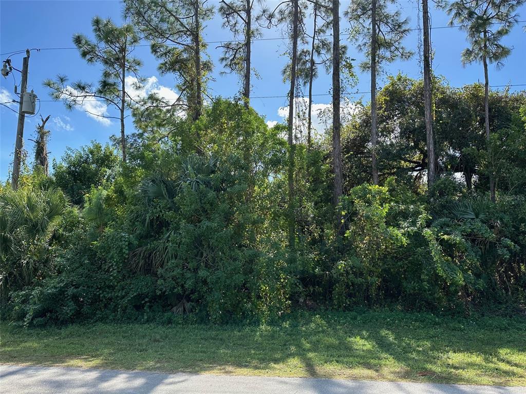 8042 WINDSWEPT CIRCLE, LABELLE, FL — photo 2 of 2