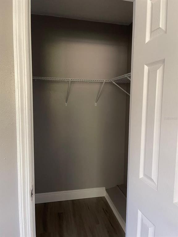 A small walk-in closet with gray walls, wood-look flooring, and a white wire shelf — 2302 CONTINENTAL BOULEVARD, ORLANDO, FL