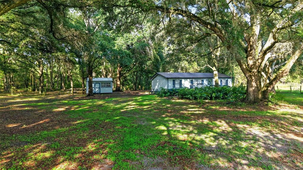 A small house and a detached shed sit on a grassy lot under large trees — 14210 NW HIGHWAY 464B, MORRISTON, FL