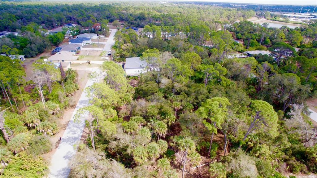 An aerial view shows a paved road winding through a wooded residential area with houses — DUNDEE AVENUE, NORTH PORT, FL