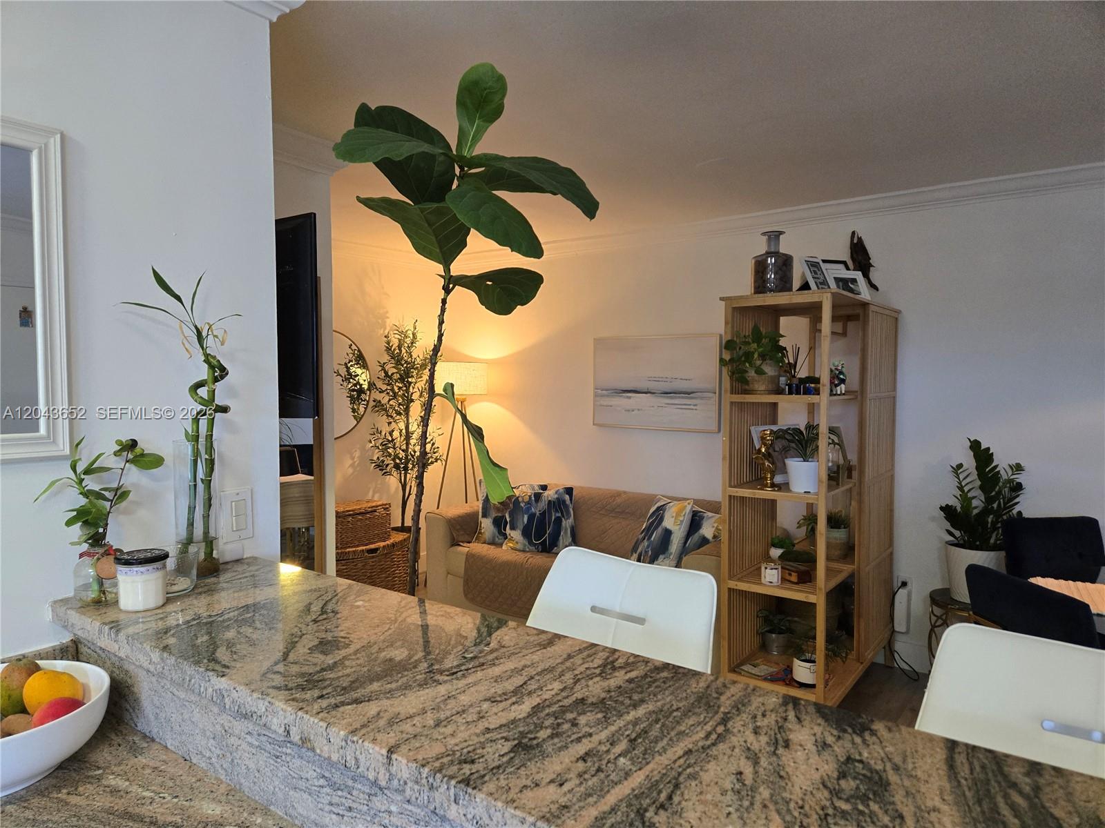 A kitchen counter with granite countertops overlooks a living room featuring a tall potted plant — 820 Salzedo St # 405, Coral Gables FL 33134, CORAL GABLES, FL