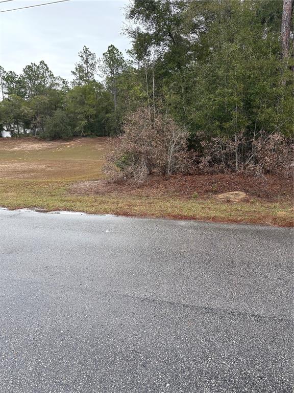 A paved road runs alongside a vacant, grassy lot with trees and shrubs — SW 202ND CT &SW 63RD PL, DUNNELLON, FL