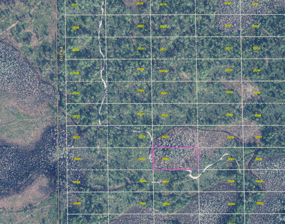 This is an aerial map showing a rectangular plot of land outlined in pink — DILL ROAD, ORLANDO, FL