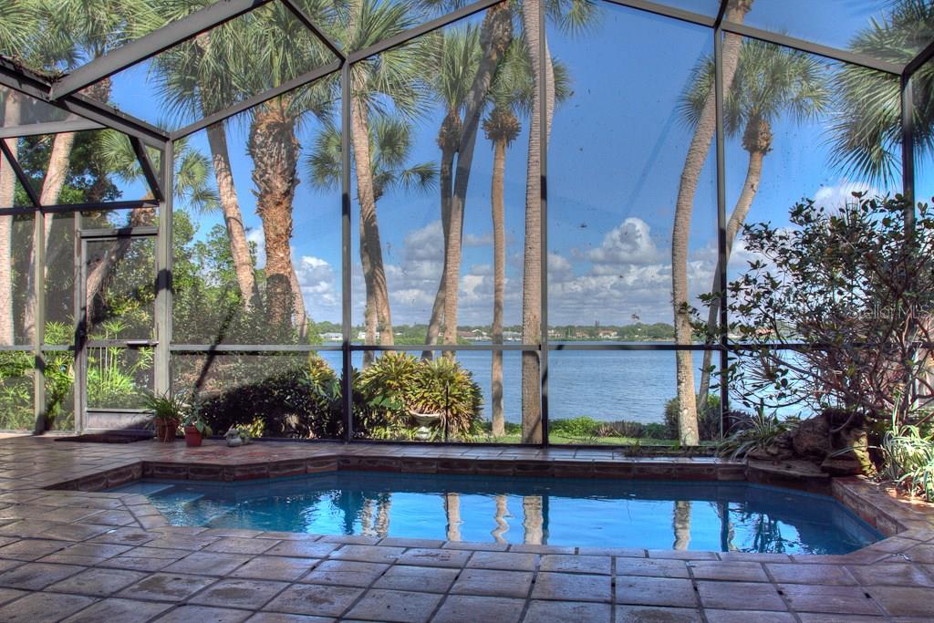 A screened-in patio features a small swimming pool overlooking a lake and palm trees — 3434 CASEY KEY ROAD, NOKOMIS, FL