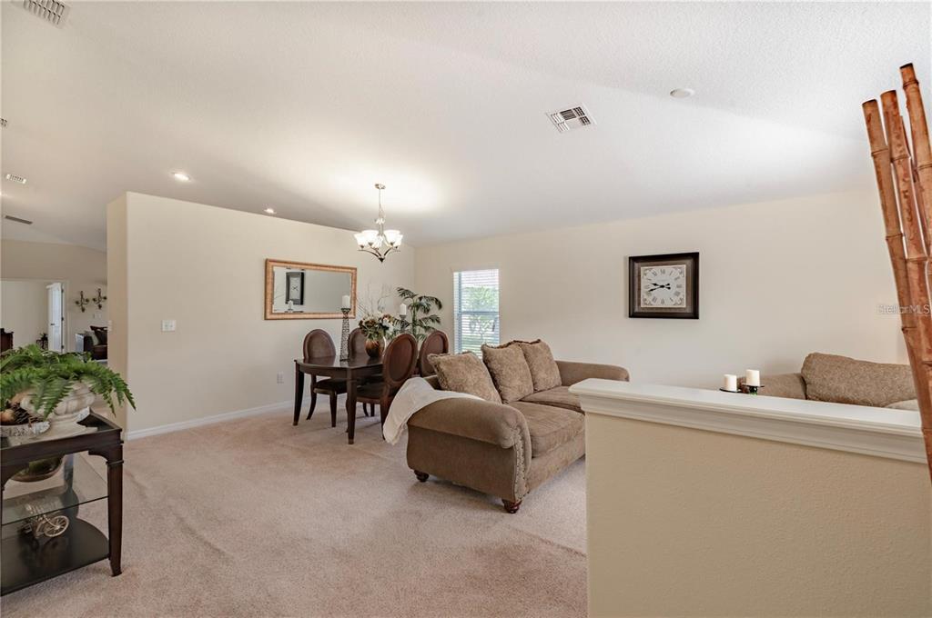 A dining area and living room with beige carpet, neutral walls, and a brown sofa — 12116 ECHO BASIN COVE, RIVERVIEW, FL