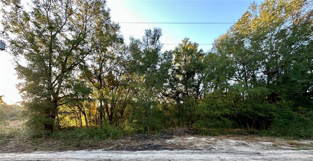 NW 16TH PLACE, OCALA, FL — photo 4 of 13