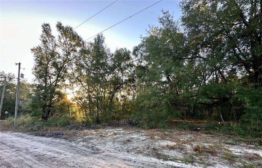 NW 16TH PLACE, OCALA, FL — photo 5 of 13