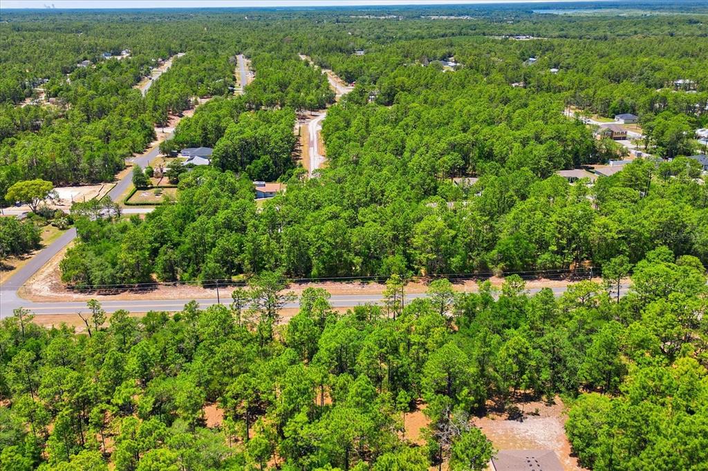 An aerial view shows a paved road running through a dense, wooded residential area — 10858 N ELKCAM BOULEVARD, CITRUS SPRINGS, FL