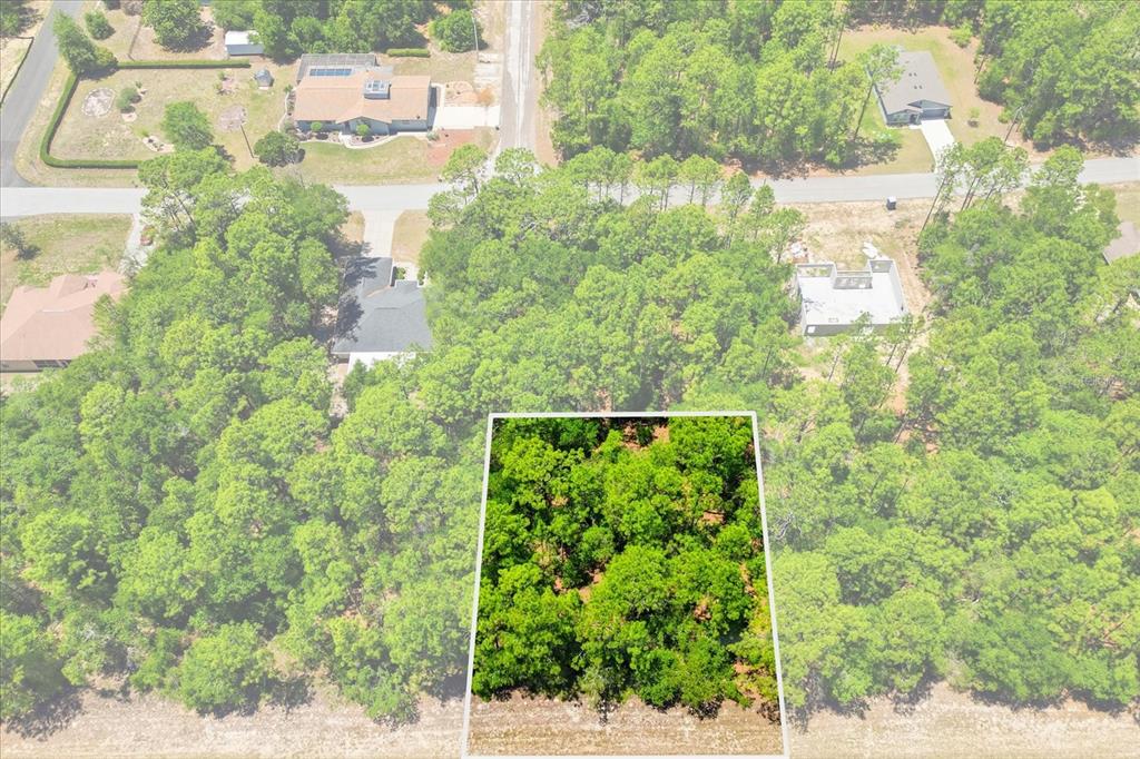 An aerial view shows a wooded residential lot highlighted against a surrounding neighborhood of homes — 10858 N ELKCAM BOULEVARD, CITRUS SPRINGS, FL