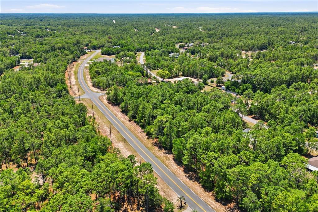 An aerial view shows a paved road winding through a dense, wooded residential area — 10858 N ELKCAM BOULEVARD, CITRUS SPRINGS, FL